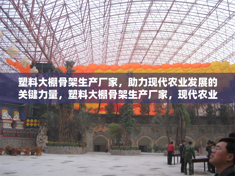 塑料大棚骨架生產(chǎn)廠家，助力現(xiàn)代農(nóng)業(yè)發(fā)展的關(guān)鍵力量，塑料大棚骨架生產(chǎn)廠家，現(xiàn)代農(nóng)業(yè)發(fā)展的核心支撐
