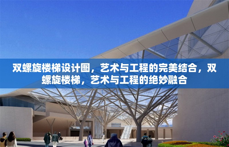 雙螺旋樓梯設(shè)計(jì)圖，藝術(shù)與工程的完美結(jié)合，雙螺旋樓梯，藝術(shù)與工程的絕妙融合