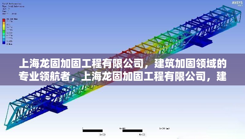 上海龍固加固工程有限公司，建筑加固領(lǐng)域的專業(yè)領(lǐng)航者，上海龍固加固工程有限公司，建筑加固領(lǐng)域的專業(yè)領(lǐng)航者