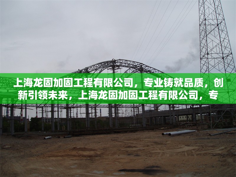 上海龍固加固工程有限公司，專業(yè)鑄就品質(zhì)，創(chuàng)新引領(lǐng)未來，上海龍固加固工程有限公司，專業(yè)鑄就品質(zhì)，創(chuàng)新引領(lǐng)未來 行業(yè)新聞