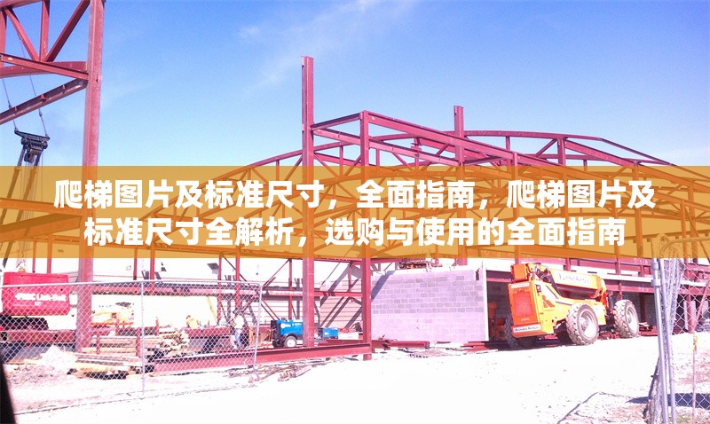 爬梯圖片及標(biāo)準(zhǔn)尺寸，全面指南，爬梯圖片及標(biāo)準(zhǔn)尺寸全解析，選購(gòu)與使用的全面指南 行業(yè)新聞