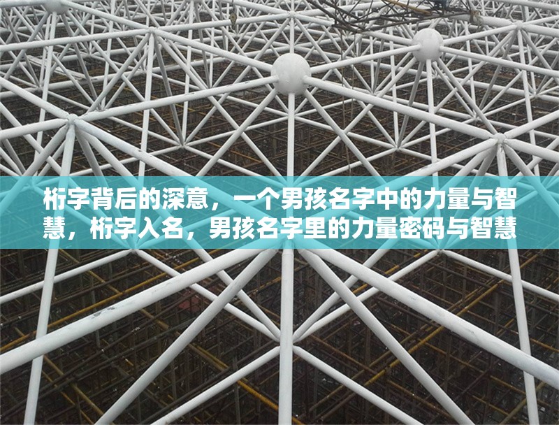 桁字背后的深意，一個男孩名字中的力量與智慧，桁字入名，男孩名字里的力量密碼與智慧圖騰 行業(yè)新聞