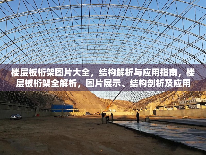 樓層板桁架圖片大全，結(jié)構(gòu)解析與應(yīng)用指南，樓層板桁架全解析，圖片展示、結(jié)構(gòu)剖析及應(yīng)用 行業(yè)新聞