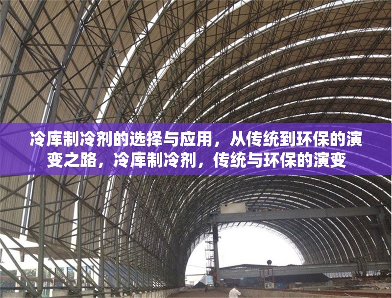 冷庫(kù)制冷劑的選擇與應(yīng)用，從傳統(tǒng)到環(huán)保的演變之路，冷庫(kù)制冷劑，傳統(tǒng)與環(huán)保的演變 行業(yè)新聞