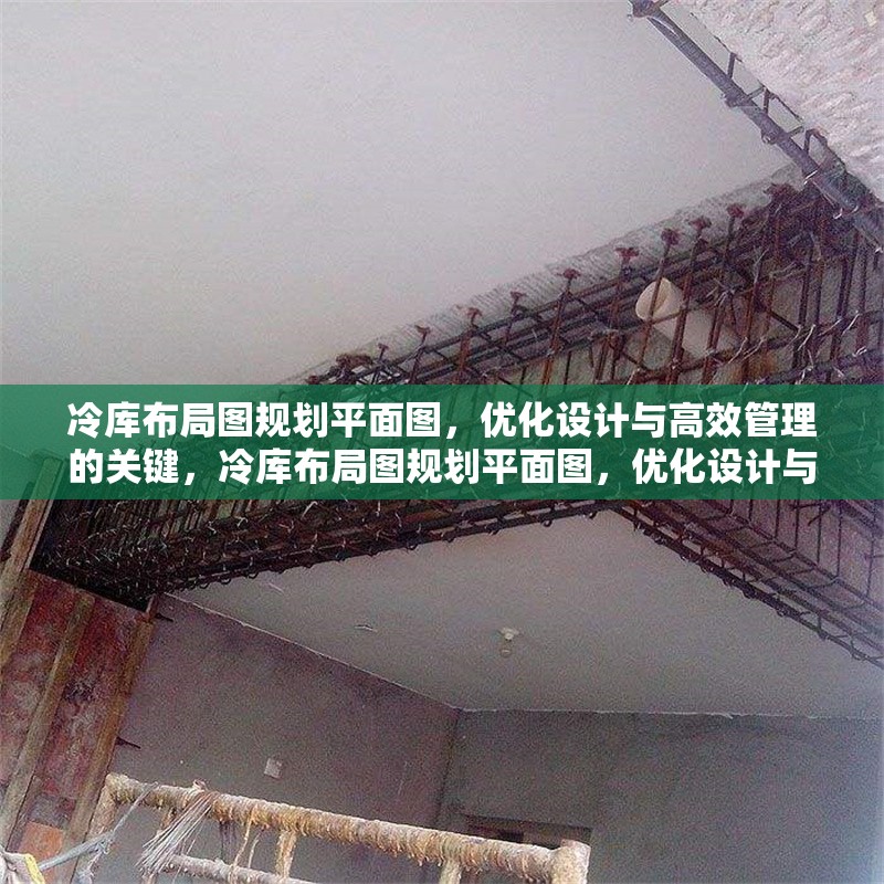 冷庫布局圖規(guī)劃平面圖，優(yōu)化設(shè)計(jì)與高效管理的關(guān)鍵，冷庫布局圖規(guī)劃平面圖，優(yōu)化設(shè)計(jì)與高效管理要點(diǎn)解析 行業(yè)新聞