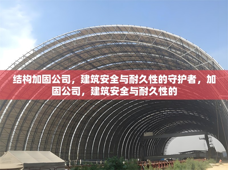 結(jié)構(gòu)加固公司，建筑安全與耐久性的守護(hù)者，加固公司，建筑安全與耐久性的 行業(yè)新聞