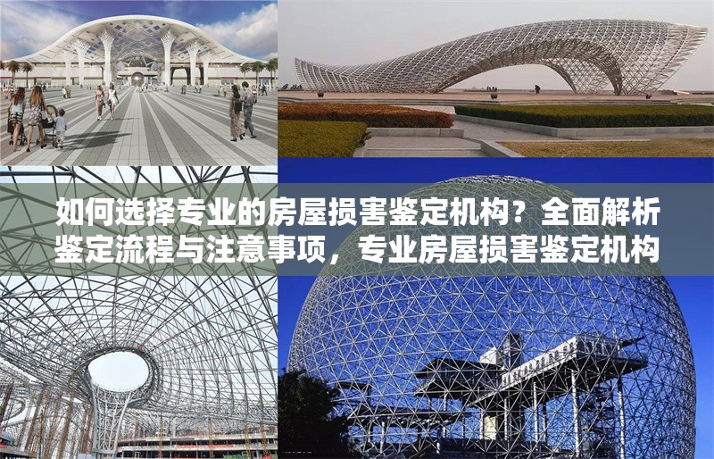 如何選擇專業(yè)的房屋損害鑒定機構？全面解析鑒定流程與注意事項，專業(yè)房屋損害鑒定機構選擇指南，流程與注意事項全解析 行業(yè)新聞