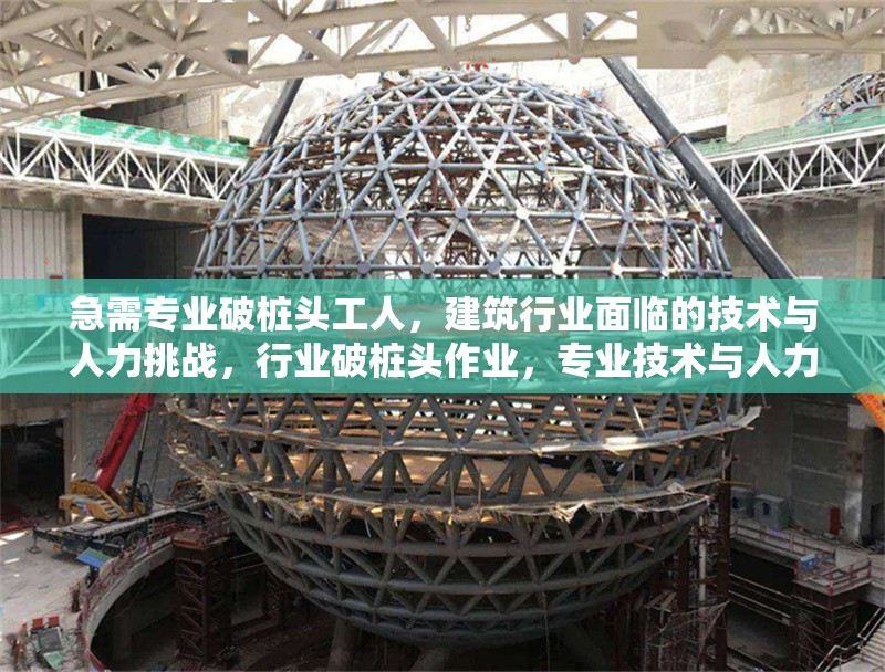 急需專業(yè)破樁頭工人，建筑行業(yè)面臨的技術(shù)與人力挑戰(zhàn)，行業(yè)破樁頭作業(yè)，專業(yè)技術(shù)與人力雙重挑戰(zhàn)下的工人需求