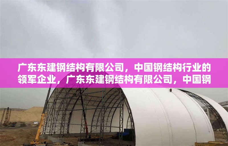 廣東東建鋼結(jié)構(gòu)有限公司，中國鋼結(jié)構(gòu)行業(yè)的領(lǐng)軍企業(yè)，廣東東建鋼結(jié)構(gòu)有限公司，中國鋼結(jié)構(gòu)行業(yè) 行業(yè)新聞