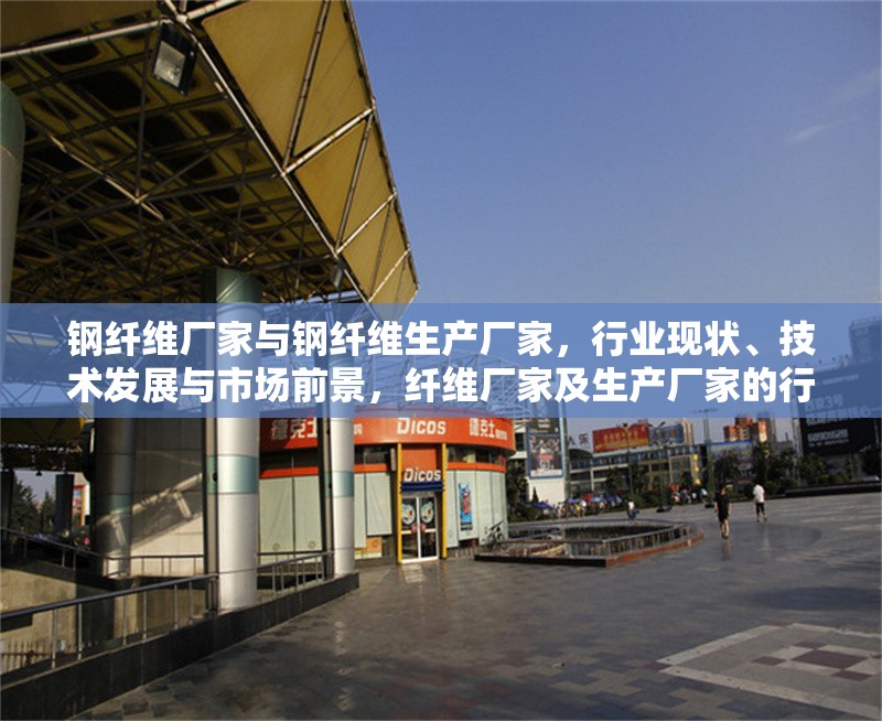 鋼纖維廠家與鋼纖維生產(chǎn)廠家，行業(yè)現(xiàn)狀、技術(shù)發(fā)展與市場前景，纖維廠家及生產(chǎn)廠家的行業(yè)現(xiàn)狀、技術(shù)發(fā)展 行業(yè)新聞