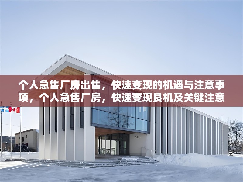 個人急售廠房出售，快速變現的機遇與注意事項，個人急售廠房，快速變現良機及關鍵注意事項詳解 行業(yè)新聞