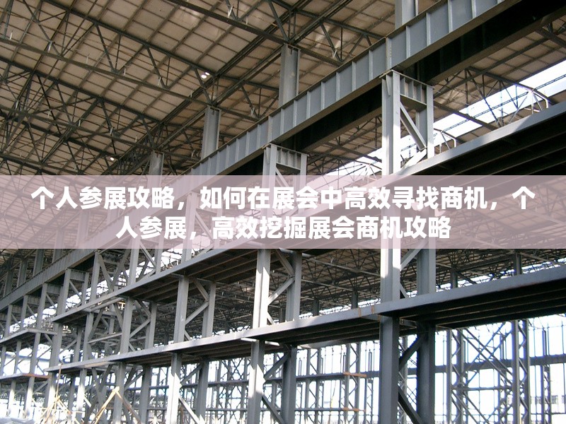 個(gè)人參展攻略，如何在展會(huì)中高效尋找商機(jī)，個(gè)人參展，高效挖掘展會(huì)商機(jī)攻略