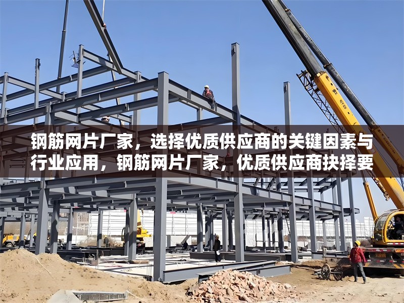 鋼筋網(wǎng)片廠家，選擇優(yōu)質(zhì)供應(yīng)商的關(guān)鍵因素與行業(yè)應(yīng)用，鋼筋網(wǎng)片廠家，優(yōu)質(zhì)供應(yīng)商抉擇要點(diǎn)及行業(yè)應(yīng)用全解析