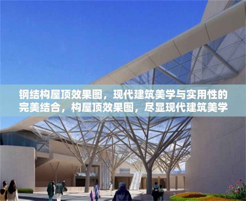 鋼結(jié)構屋頂效果圖，現(xiàn)代建筑美學與實用性的完美結(jié)合，構屋頂效果圖，盡顯現(xiàn)代建筑美學與實用