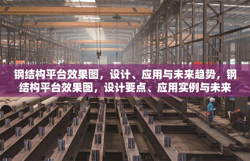 鋼結(jié)構(gòu)平臺效果圖，設(shè)計、應(yīng)用與未來趨勢，鋼結(jié)構(gòu)平臺效果圖，設(shè)計要點、應(yīng)用實例與未來發(fā)展趨勢剖析