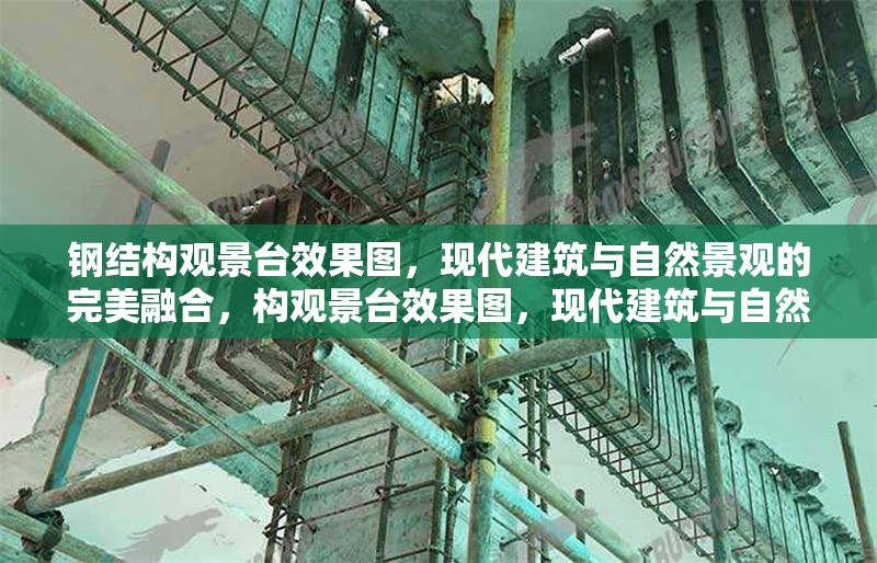 鋼結(jié)構(gòu)觀景臺效果圖，現(xiàn)代建筑與自然景觀的完美融合，構(gòu)觀景臺效果圖，現(xiàn)代建筑與自然 行業(yè)新聞