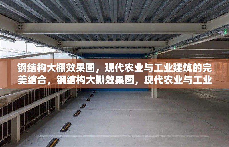 鋼結(jié)構(gòu)大棚效果圖，現(xiàn)代農(nóng)業(yè)與工業(yè)建筑的完美結(jié)合，鋼結(jié)構(gòu)大棚效果圖，現(xiàn)代農(nóng)業(yè)與工業(yè)建筑的