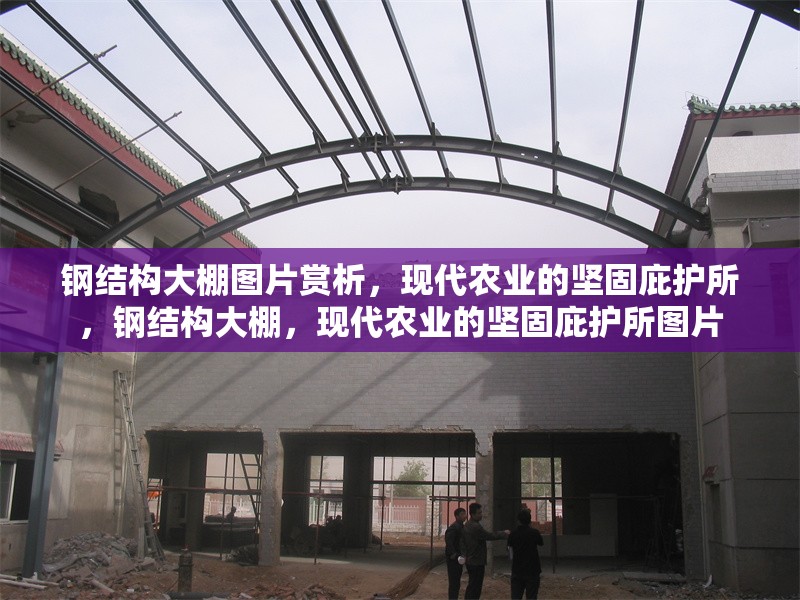 鋼結(jié)構(gòu)大棚圖片賞析，現(xiàn)代農(nóng)業(yè)的堅(jiān)固庇護(hù)所，鋼結(jié)構(gòu)大棚，現(xiàn)代農(nóng)業(yè)的堅(jiān)固庇護(hù)所圖片