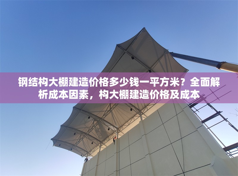 鋼結(jié)構(gòu)大棚建造價(jià)格多少錢一平方米？全面解析成本因素，構(gòu)大棚建造價(jià)格及成本 行業(yè)新聞