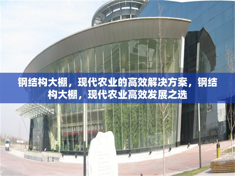 鋼結(jié)構(gòu)大棚，現(xiàn)代農(nóng)業(yè)的高效解決方案，鋼結(jié)構(gòu)大棚，現(xiàn)代農(nóng)業(yè)高效發(fā)展之選