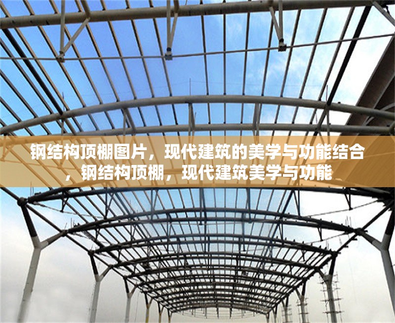 鋼結(jié)構頂棚圖片，現(xiàn)代建筑的美學與功能結(jié)合，鋼結(jié)構頂棚，現(xiàn)代建筑美學與功能