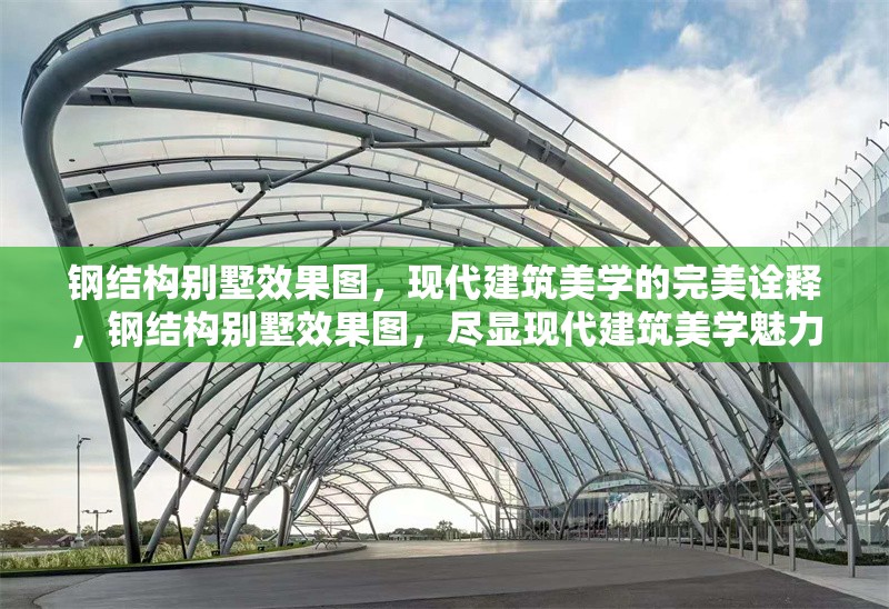 鋼結(jié)構別墅效果圖，現(xiàn)代建筑美學的完美詮釋，鋼結(jié)構別墅效果圖，盡顯現(xiàn)代建筑美學魅力