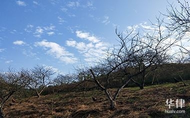 土地使用權(quán)攤銷對企業(yè)利潤影響，土地使用權(quán)攤銷，企業(yè)利潤的隱形 行業(yè)新聞 第2張
