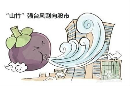 臺(tái)風(fēng)對房屋結(jié)構(gòu)的影響，臺(tái)風(fēng)肆虐下房屋結(jié)構(gòu)的考驗(yàn)，