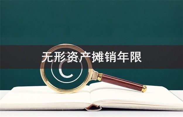 稅法下攤銷年限的案例分析，稅法攤銷年限案例解析，明晰規(guī)則