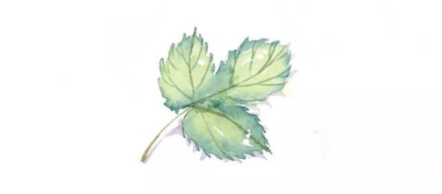 碳纖維疲勞壽命測(cè)試技術(shù) 行業(yè)新聞 第2張 碳纖維疲勞壽命測(cè)試技術(shù) 行業(yè)新聞 第2張