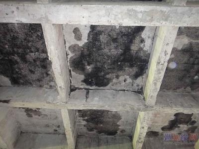 碳纖維加固技術(shù)最新研究，碳纖維加固技術(shù)最新研究，進(jìn)展、應(yīng)用 行業(yè)新聞 第2張