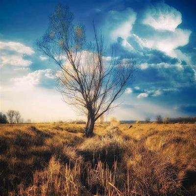 項目經(jīng)理責任制成功經(jīng)驗，項目經(jīng)理責任制，成功經(jīng)驗與實踐典范 行業(yè)新聞 第2張