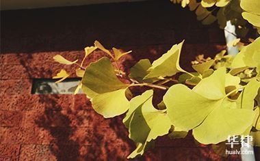 設(shè)計服務(wù)合同條款的關(guān)鍵要素，設(shè)計服務(wù)合同條款核心 行業(yè)新聞 第4張