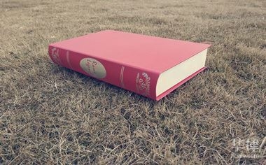 如何選擇專業(yè)的評估機構(gòu)，專業(yè)評估機構(gòu)挑選指南，關(guān)鍵因素與，專業(yè)評估機構(gòu)挑選指南，關(guān)鍵因素與選擇策略 行業(yè)新聞 第2張