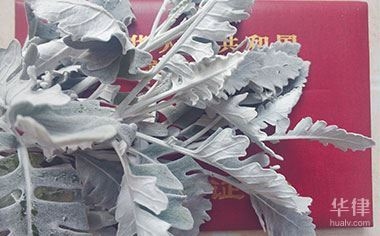 開發(fā)商違約責任追究，開發(fā)商違約責任追究，權(quán)益維護與法律 行業(yè)新聞 第4張