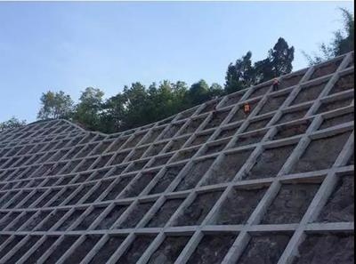 綠色加固材料的國(guó)際標(biāo)準(zhǔn)對(duì)比，綠色加固材料國(guó)際標(biāo)準(zhǔn) 行業(yè)新聞 第6張