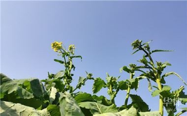 老舊房屋改造補(bǔ)貼申請條件，老舊房屋改造補(bǔ)貼申請，條件全解析 行業(yè)新聞 第2張