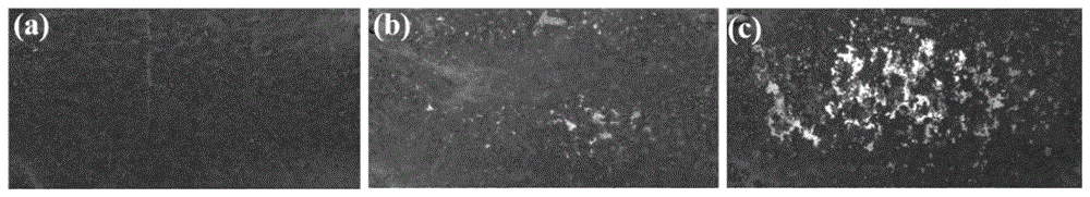 橋梁鋼板耐腐蝕涂層技術(shù)，橋梁鋼板耐腐蝕涂層技術(shù)研究與應(yīng)用 行業(yè)新聞 第3張