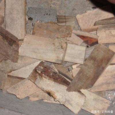 建筑加固材料成本控制技巧，如下，，建筑加固材料成本控制的7個(gè)實(shí)用技巧 行業(yè)新聞 第3張