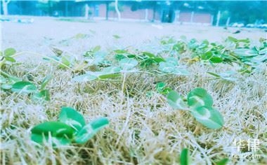 勞務(wù)分包企業(yè)注冊(cè)資金要求，勞務(wù)分包企業(yè)注冊(cè)資金要求及標(biāo)準(zhǔn)解析 行業(yè)新聞 第2張