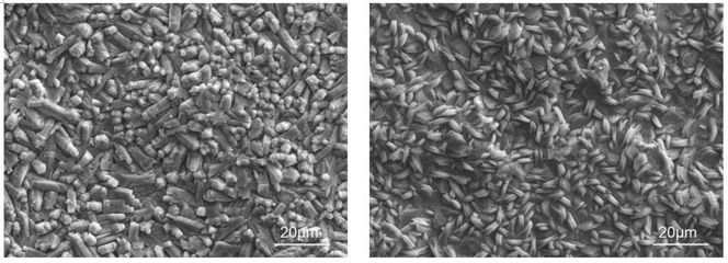 磷化處理提高涂層附著力原理，磷化處理增強(qiáng)涂層附著力的作用機(jī)理 行業(yè)新聞 第6張
