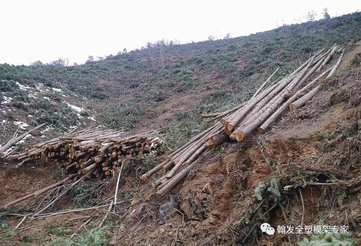 建筑加固材料的環(huán)保標準，建筑加固材料的環(huán)保標準與要求 行業(yè)新聞 第3張