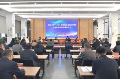 設(shè)計(jì)院資質(zhì)升級風(fēng)險(xiǎn)防控，設(shè)計(jì)院資質(zhì)升級風(fēng)險(xiǎn)防控策略與實(shí)施路徑 行業(yè)新聞 第2張