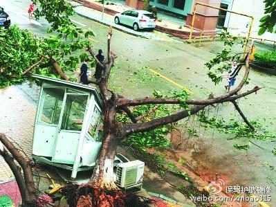 臺(tái)風(fēng)后房屋修復(fù)指南，臺(tái)風(fēng)后房屋受損應(yīng)急修復(fù)與安全自查指南 行業(yè)新聞 第2張