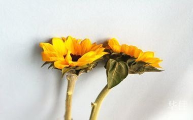 設(shè)計合同違約責(zé)任解析，設(shè)計合同違約責(zé)任解析 行業(yè)新聞 第3張