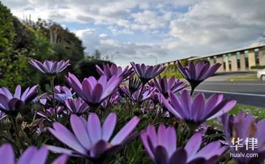 工業(yè)用地能不能改商業(yè)用地，工業(yè)用地改商業(yè)用地，可行性、條件與限制全解析 行業(yè)新聞 第4張