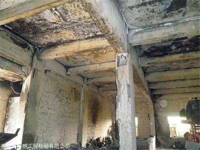 加固公司服務(wù)質(zhì)量評(píng)價(jià)，加固公司服務(wù)質(zhì)量，多維度評(píng)價(jià)與剖析 行業(yè)新聞 第4張