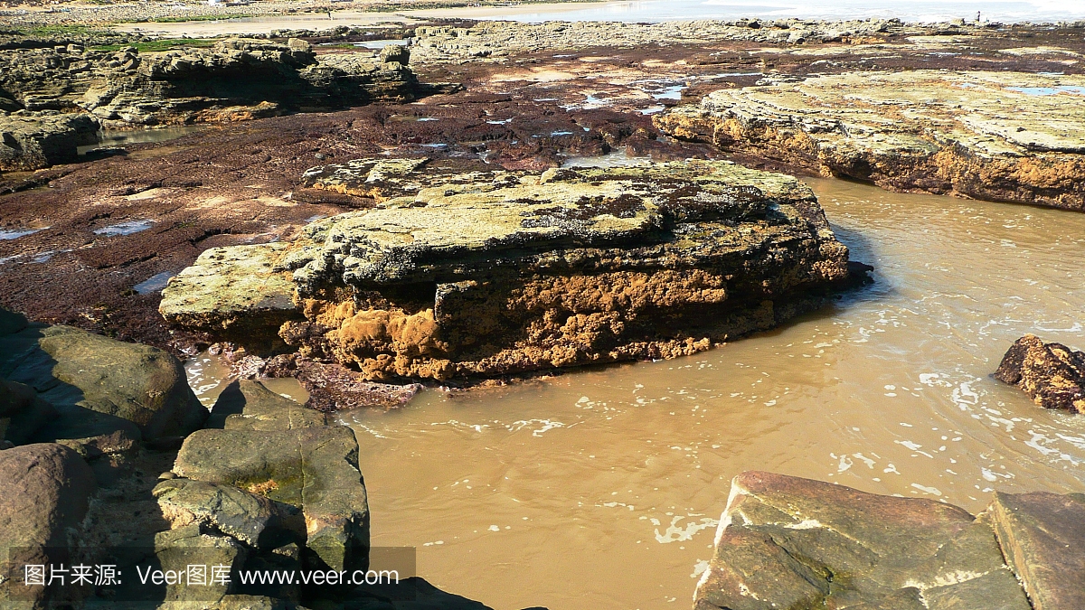 黃沙撒布技術(shù)要點，黃沙撒布技術(shù)要點解析與應(yīng)用 行業(yè)新聞 第5張