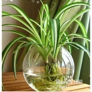 廠房室內(nèi)空氣質(zhì)量改善技巧，廠房室內(nèi)空氣質(zhì)量改善，實(shí)用技巧與策略 行業(yè)新聞 第3張