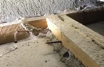 建筑加固后白蟻防治案例 行業(yè)新聞 第3張 建筑加固后白蟻防治案例 行業(yè)新聞 第3張